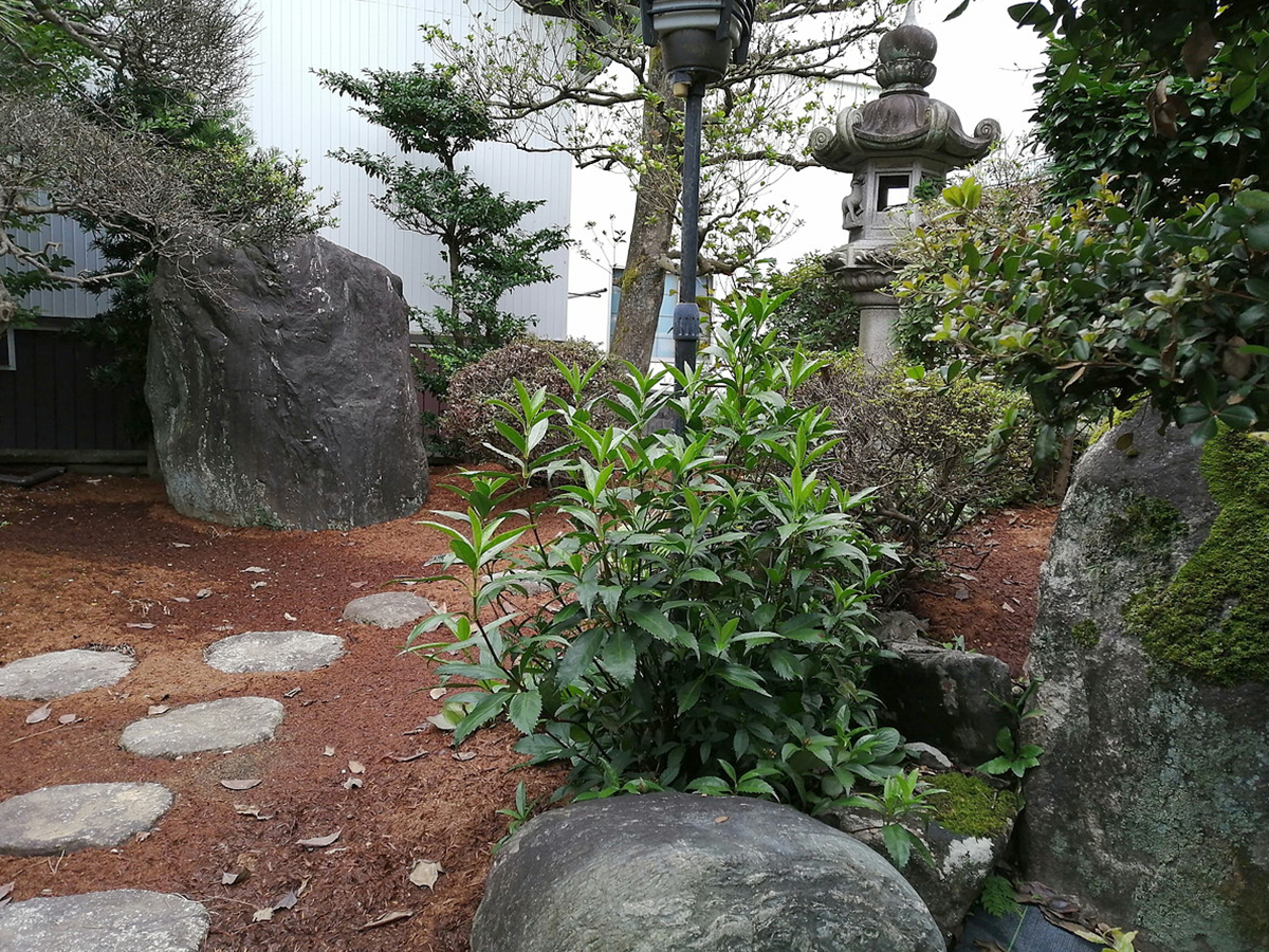 お手入れをラクにした和風庭園