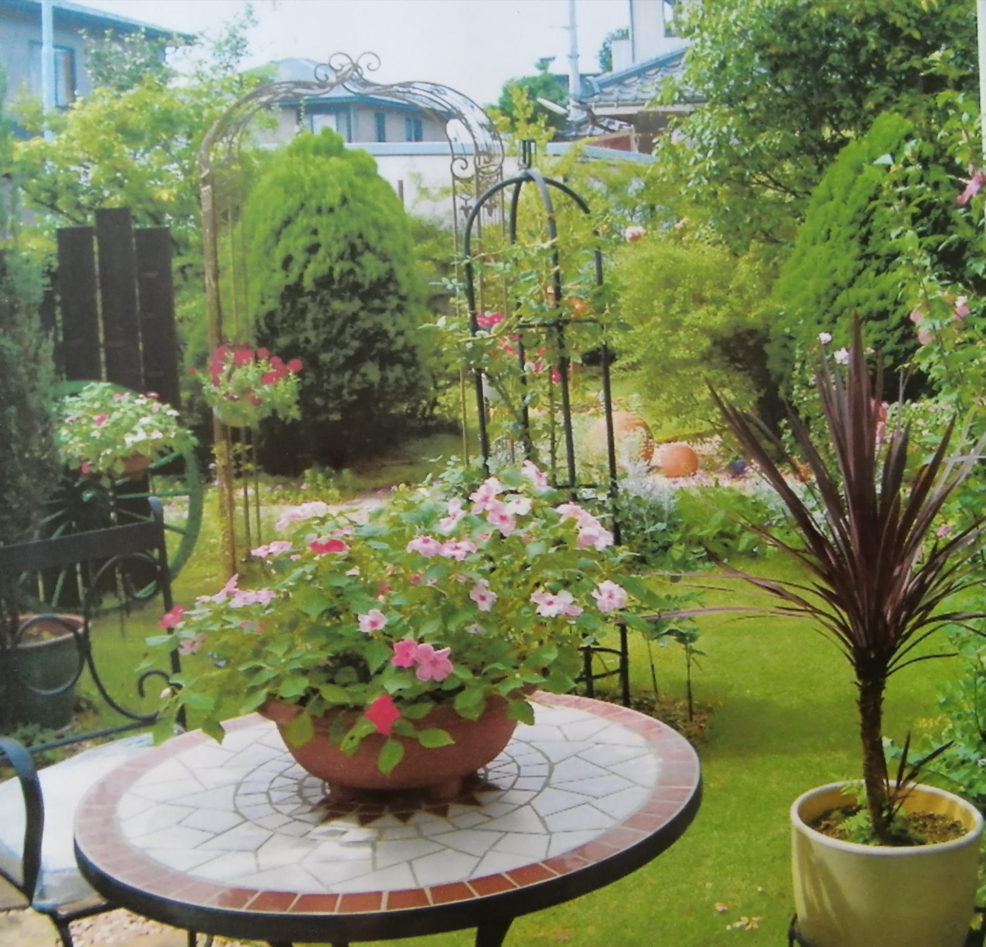 環境の変化等で芝生にも悪影響が！（暮らしいなガーデンの原点　２）