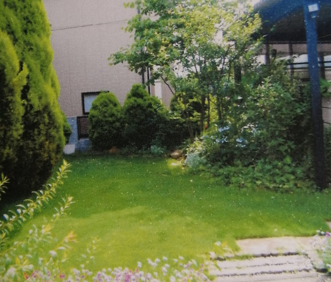 憧れの芝庭！（暮らしいなガーデンの原点　１）
