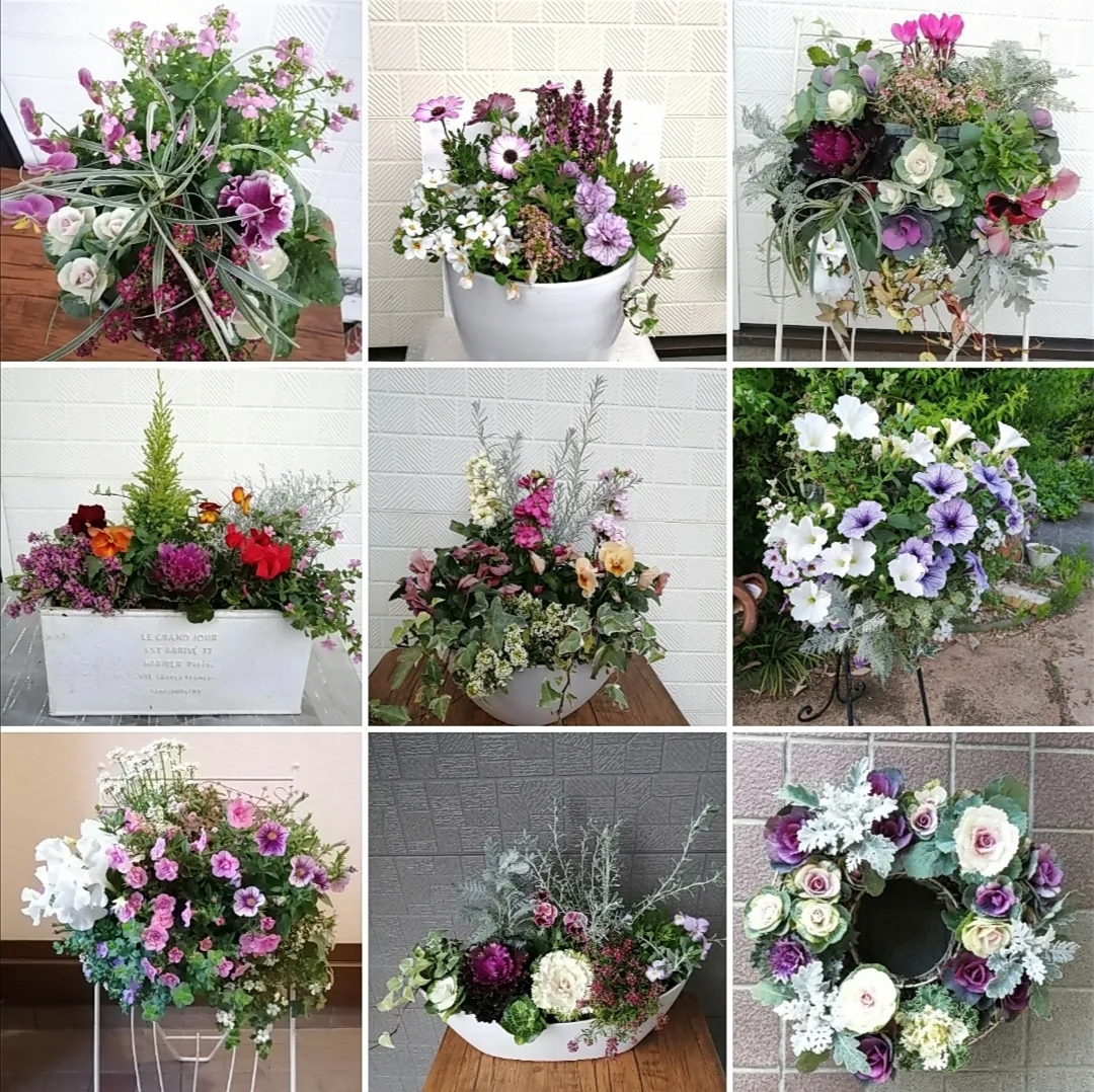 季節の寄せ植え作製いたします。